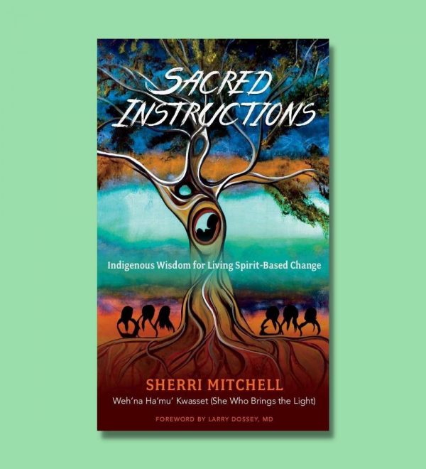 Sacred Instructions Book Cover